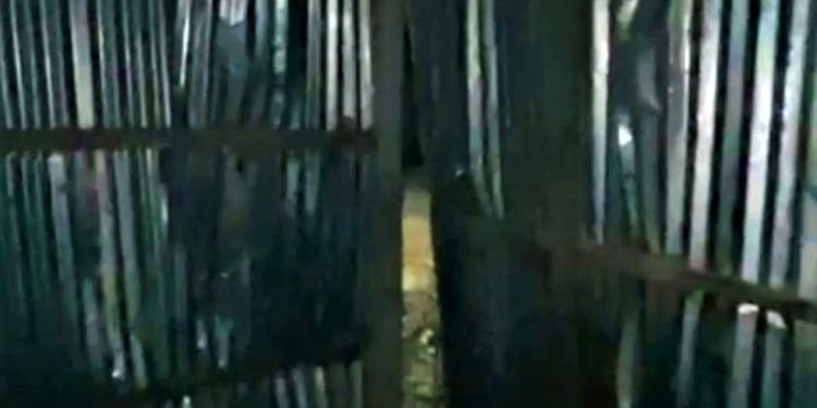 সখীপুরে স্বতন্ত্র প্রার্থীর ৩ নির্বাচনী অফিস ভাঙচুরের অভিযোগ, সখীপুরে নির্বাচনী অফিস ভাঙচুর, স্বতন্ত্র প্রার্থীর অফিস ভাঙচুর, সখীপুর নির্বাচন সহিংসতা, সখীপুরে রাজনৈতিক সংঘর্ষ, টাঙ্গাইল সখীপুর খবর, Tangail news, Tangail election news, সখীপুরের সর্বশেষ খবর, টাঙ্গাইল রাজনৈতিক খবর, নির্বাচনী সহিংসতা টাঙ্গাইল, স্বতন্ত্র প্রার্থী সখীপুর, সখীপুর ভোটের খবর, টাঙ্গাইল জেলা নির্বাচন সংবাদ